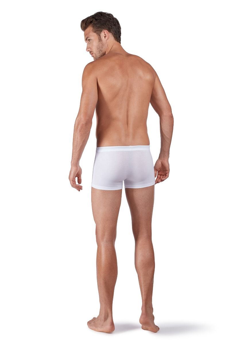 Pánske panty 