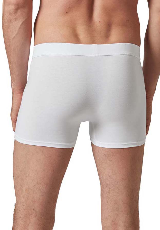 pánske panty